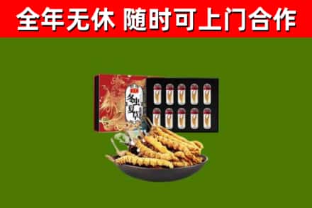 长沙县回收冬虫夏草价格